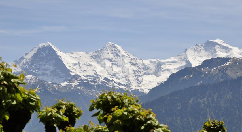Hotel Schonegg Jungfrau Екстер'єр фото